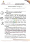 Vista preliminar de documento RAN135-2024
