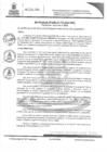 Vista preliminar de documento RAN173-2024