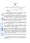 Vista preliminar de documento RER. 201