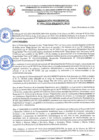 Vista preliminar de documento rp_096-24