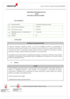 Vista preliminar de documento Anexo de la RJ 041-2024-CENFOTUR-J