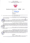 Vista preliminar de documento RD Nº000733 02-03-202306092023150652