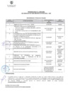 Vista preliminar de documento FORMATO CRONOGRAMA DE PUESTO PROCESO CAS N° 11