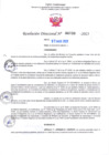 Vista preliminar de documento RD Nº000738 02-03-202306092023151255