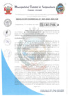 Vista preliminar de documento RESOLUCION GERENCIAL N 65-2024-MDI-GM