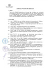 Vista preliminar de documento FORMATO BASES DE PUESTO PROCESO CAS N° 11