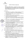 Vista preliminar de documento FORMATO BASES DE PUESTO PROCESO CAS N° 14