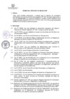 Vista preliminar de documento FORMATO BASES DE PUESTO PROCESO CAS N° 19
