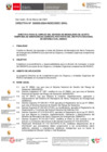 Vista preliminar de documento DIRECTIVA-000003-2024-SEC GRAL