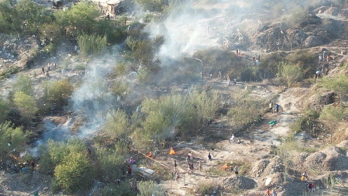 Quema de árboles y ramas
