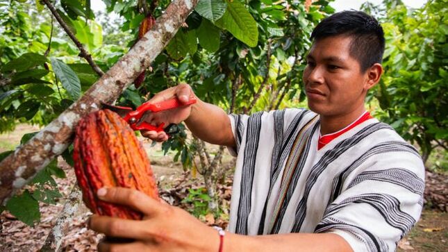 • A la fecha, el monto de indemnización a pequeños agricultores llega a S/ 6.6 millones