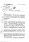 Vista preliminar de documento RD N° 038-2024-DE/HJATCH