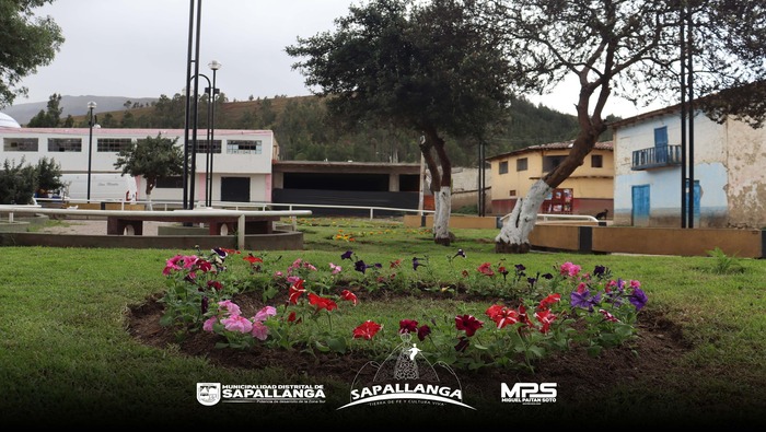 Mejoramiento del Ornato de nuestro Distrito