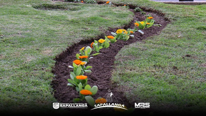Mejoramiento del Ornato de nuestro Distrito