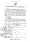 Vista preliminar de documento RES-101-2024-GGR
