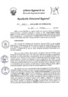 Vista preliminar de documento RDR-0301-2024