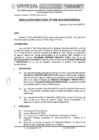 Vista preliminar de documento RESOLUCIÓN DIRECTORAL N° 0196-2024-DIGAUNHEVAL