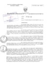 Vista preliminar de documento RD Nº0042