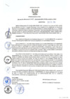 Vista preliminar de documento rd95