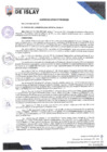 Vista preliminar de documento AC006-2024-MDI