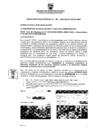 Vista preliminar de documento Resolución N° 0260-2024-SGFCA-GSEGC-MSS