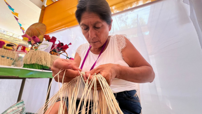 FERIA ARTESANÍAS DEL PERÚ