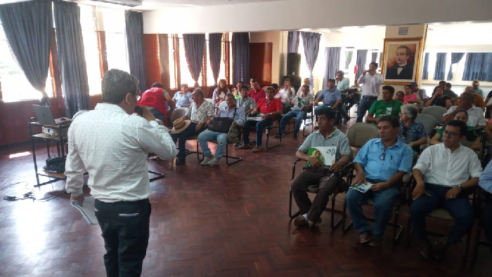 Presupuesto Participativo 2025
