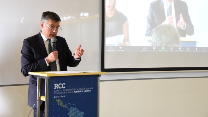 El Indecopi y el INPI de Francia abordan experiencias y casos de éxito sobre la protección de indicaciones geográficas para artesanías