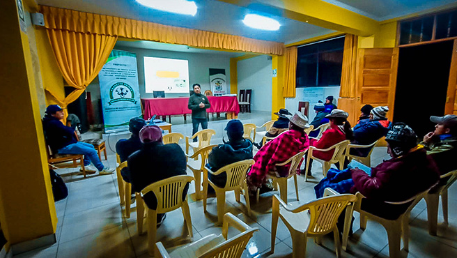 Proyecto Ovino