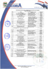 Vista preliminar de documento RESULTADO FINAL