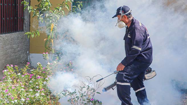 Municipalidad Provincial de Paita inicia campaña de fumigación en el sector IV