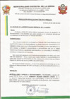 Vista preliminar de documento R.A.796-2013