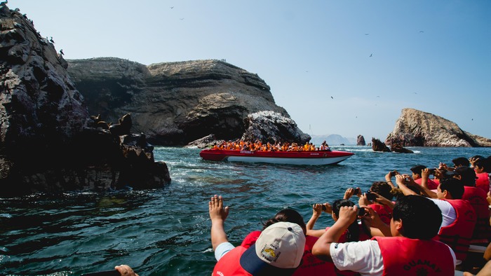 Las islas Ballestas de la RNSIIPG, el PN Huascarán, el PN Tingo María y el SH de Machupicchu fueron las áreas naturales protegidas con mayor visita durante este feriado. 