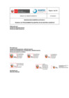 Vista preliminar de documento Manual de Procedimientos (MAPRO) PS-05 Gestión Logística