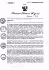 Vista preliminar de documento RDR0025-2024-GOB-REG-HVCA-DIRESA