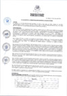 Vista preliminar de documento RA-080-2024-A-MDSA