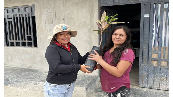 arborización en 3 Asentamientos Humanos