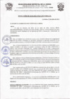 Vista preliminar de documento R.A.814-2013
