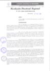 Vista preliminar de documento RDR 113-2024001