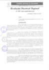 Vista preliminar de documento RDR 115-2024001