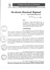 Vista preliminar de documento RDR 117-2024001