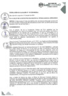 Vista preliminar de documento RESOLUCIÓN DE ALCALDÍA N° 132-2024-A-MDSJL
