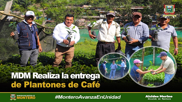 Municipalidad de Montero realiza la entrega de plantones de café 