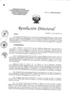Vista preliminar de documento RD° 052-2024-DG-HEJCU