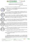Vista preliminar de documento RESOLUCION DE ALCALDIA Nº 081-2024