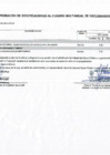 Vista preliminar de documento ANEXO N°06 - APROBACION DE CUADRO MULTIANUAL DE NECESIDADES N° 00000013