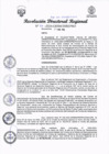 Vista preliminar de documento RDR Nº 77-2024-GRSM-DIREPRO001