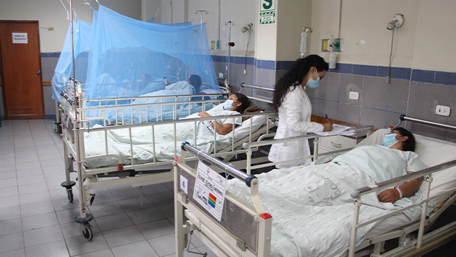 FOTO 3 Plan estratégico contra el dengue logra no tener fallecidos autóctonos por ese mal