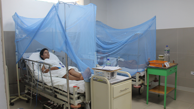 FOTO 5 Plan estratégico contra el dengue logra no tener fallecidos autóctonos por ese mal