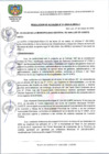 Vista preliminar de documento RESOLUCION DE ALCALDIA N°081-2024